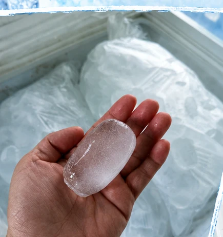 Hand holding an oval piece of HYDZ party ice